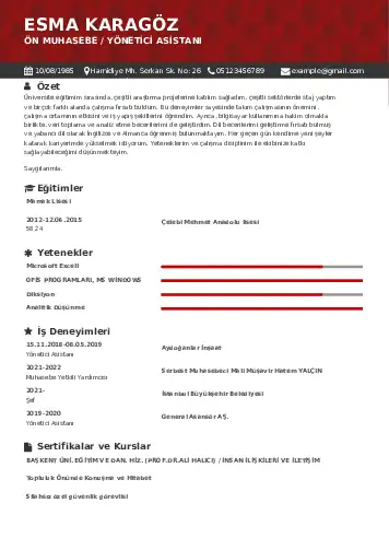 Yönetici Asistanı Cv Örnekleri cv indir